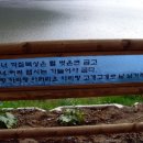 지화자껄껄