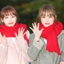 아,귀여워 이미지