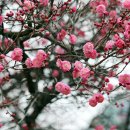 안녕하신지 이미지