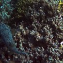 속담과 현대음악 이미지