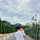 괴목초등학교 | &lt;무주 약속정원&amp;카페 비온뒤에&gt; 아이와 함께 가기좋은 곳 / 글램핑감성 정원 카페 추천/사진찍기 좋은곳