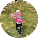 경북 성주 계곡 펜션 평상 취사 아이랑 물맑은펜션