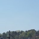 경희디에스한방병원 이미지