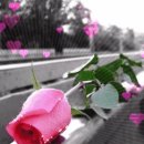 대통령 당선되고 축전 못받은 대통령 ! ~ 이미지