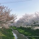 성북2리 마을회관 이미지