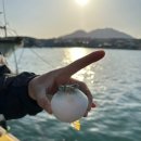 문중방파제 이미지