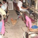 럭셔리PC방 이미지