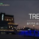 호랑이엔카페