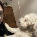 몽멍이들 이미지