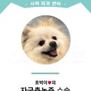 호박동물병원 이미지