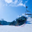 그랑셰프(클럽하우스) 이미지