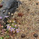 주상만 | 비바람 뚫고 다녀온 대포 주상절리 리얼 후기