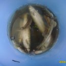 원두골농장 이미지