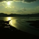 순천만습지 이미지