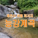 만장얼음
