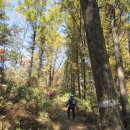 공원관리사무소 이미지