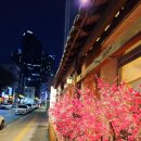 각시보쌈 이미지