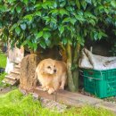 순덕민박 이미지