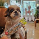 거제역 (3호선) | 부산 연산동 분위기 좋은 카페 추천 솔직후기