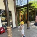 (주)윈플러스마트중부 | 아이랑 푸꾸옥 여행 빈원더스 빈펄 사파리 주키퍼 후기 무료이동 꿀팁