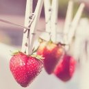 보육학개론 이미지