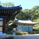 회룡포 · 무섬마을- 2021년 10월 17일