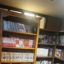 스파레이 이미지