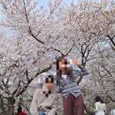 그라찌에순천향대피닉스