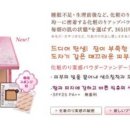 비스타파운데이션