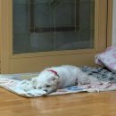 장독민박 이미지