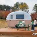 도그앤도그 이미지