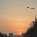 단양파빌리온하우스 네이버블로그