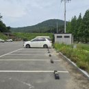 삼웅2리마을회관 이미지