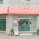 스마일댕댕 이미지