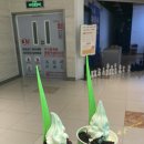 네일플래닛