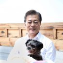 토리펫 이미지