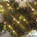 (주)이춘복참치신도림디큐브시티 이미지