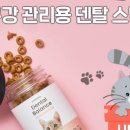 유일덴탈