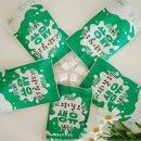 몽글몽글 펫 | 리틀포우 강아지 우유 락토프리 GI 소화가 잘되는 생유 펫밀크 후기