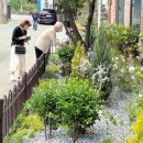 서대문구보건소 이미지