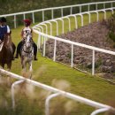 라온목장 이미지