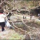 진산목장 이미지