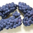 민주농장 이미지