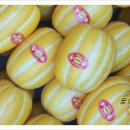 1-93호공원 이미지