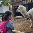 쭉돌농장 이미지