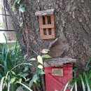 카페만디 이미지