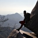 봉남이네 이미지