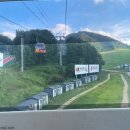 착한카프라자 | 강원도 평창 여행. 모나 용평 발왕산 관광케이블카, 스카이워크정상 둘러보기 예약/운영시간/가격 안내