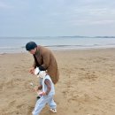 나폴리 | 아이랑 1박2일 태안여행 태안 몽산포 해루질 펜션 나폴리펜션 갯벌체험 추천