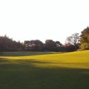 베네스트 이미지